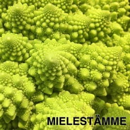 Mielestämme
