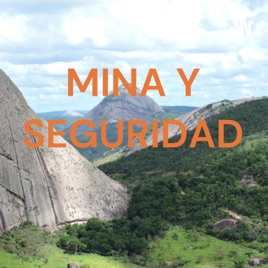 MINA Y SEGURIDAD