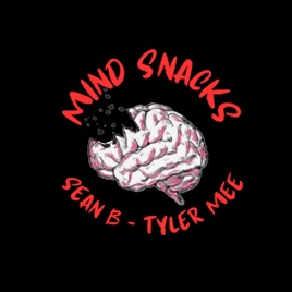 Mind Snacks