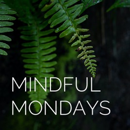 MINDFUL MONDAYS