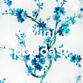 Mini podcast