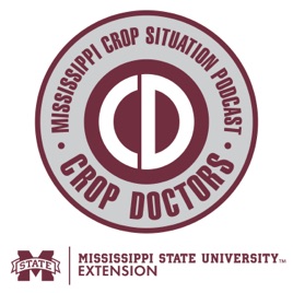 Mississippi Crop Situation Podcast