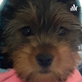 MITO DE LA CREACIÓN