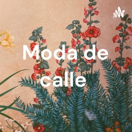 Moda de calle