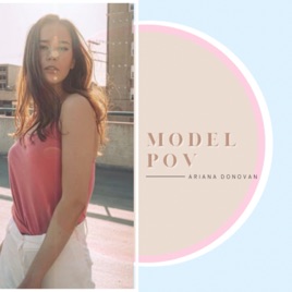 Model POV