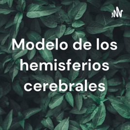 Modelo de los hemisferios cerebrales