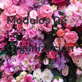 Modelos De La Organización