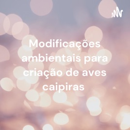 Modificações ambientais para criação de aves caipiras