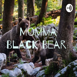 Momma Black Bear