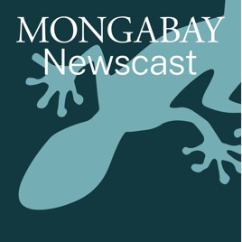 Mongabay Newscast