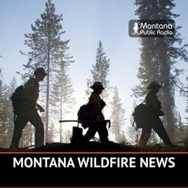 Montana Wildfire News