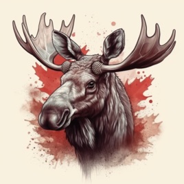 Moose on the Loose