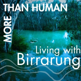 More Than Human