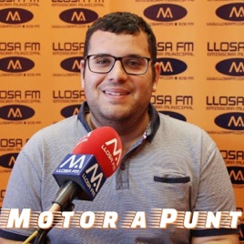 Motor a Punt