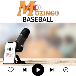 Mozingo Baseball