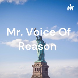 Mr. Voice Of Reason