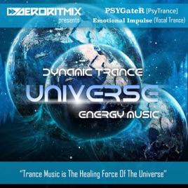 «MultiStyle Dynamic Universe»