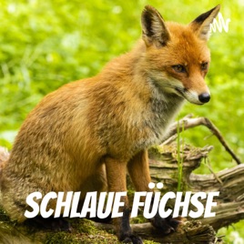 Schlaue Füchse 🦊