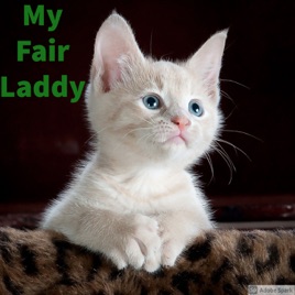 My Fair Laddy