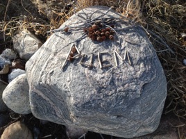 My Leaky Heart