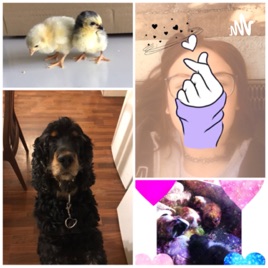 My Pets are my life 🧋🧋🧋🧋
