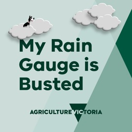 My Rain Gauge is Busted