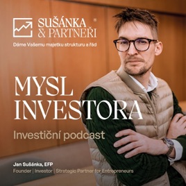 Mysl investora