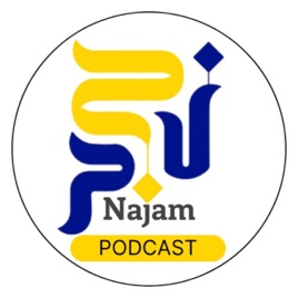 Najam Institute
