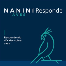 Nanini Aves Responde