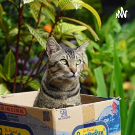 Natadipura