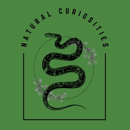 Natural Curiosities