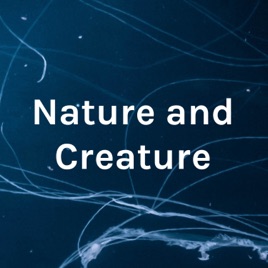 Nature and Creature