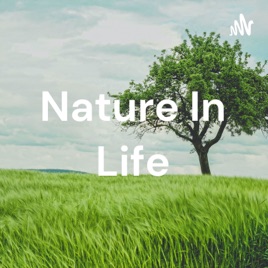 Nature In Life