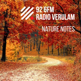 Nature Notes - in Local Life St Albans