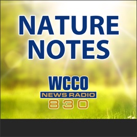 Nature Notes