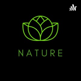 Nature sounds