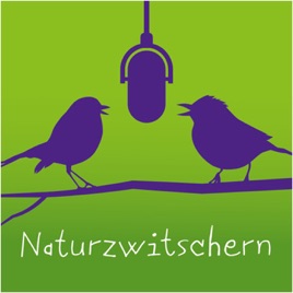Naturzwitschern