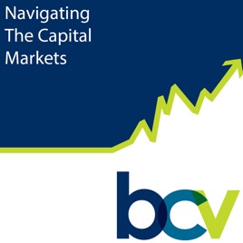 Navigating the Capital Markets