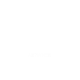 NetzVoice