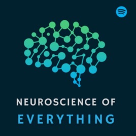 Neuroscience of Everything