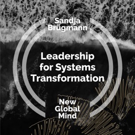 New Global Mind: Leadership for Systems Transformation