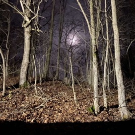 Nightwalk!