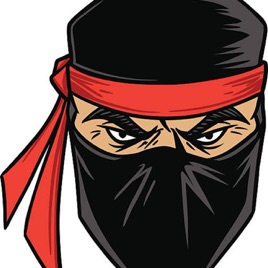 Ninja News and Politics