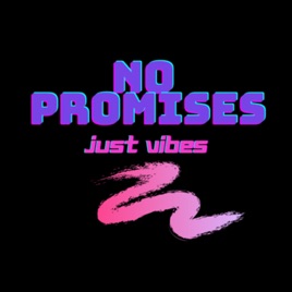 No Promises Just Vibes
