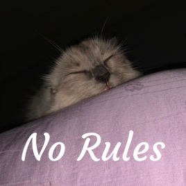 No Rules