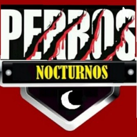 Noches de perros