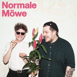 NORMALE MÖWE