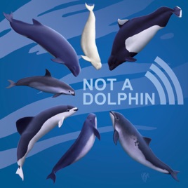Not a Dolphin
