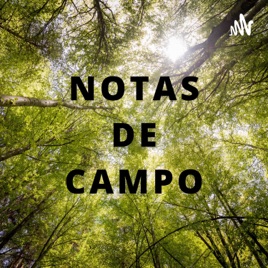 Notas de Campo