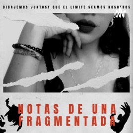 Notas de una fragmentada